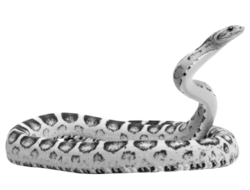 a happy snake