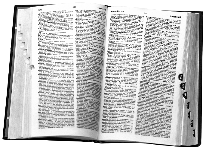 a hefty dictionary!