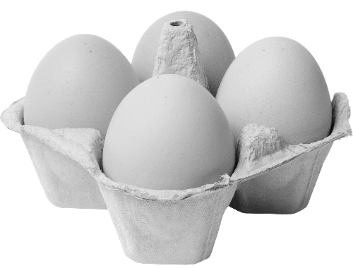 four eggs in monochrome