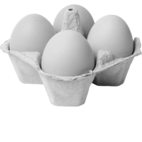 four eggs in monochrome
