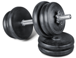 a stack of free weights with weighted plates