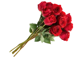 a dozen red roses...because of course