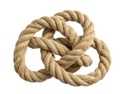 A tangle of rope.