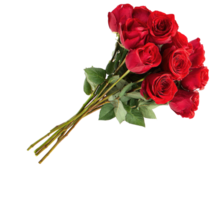 a dozen red roses...because of course