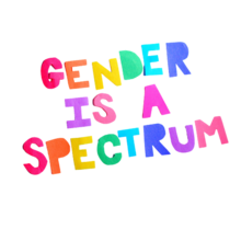 cutout rainbow text that reads "gender is a spectrum"