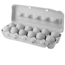 A black and white image of a carton of one-dozen eggs