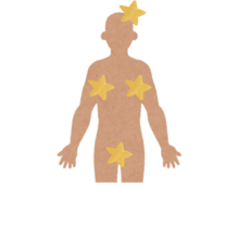 A figure of a body with stars on different erogenous zones