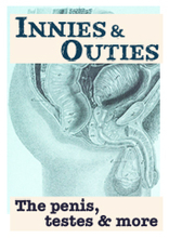 A diagram of the penis and surrounding anatomy, labeled "innies and outies."